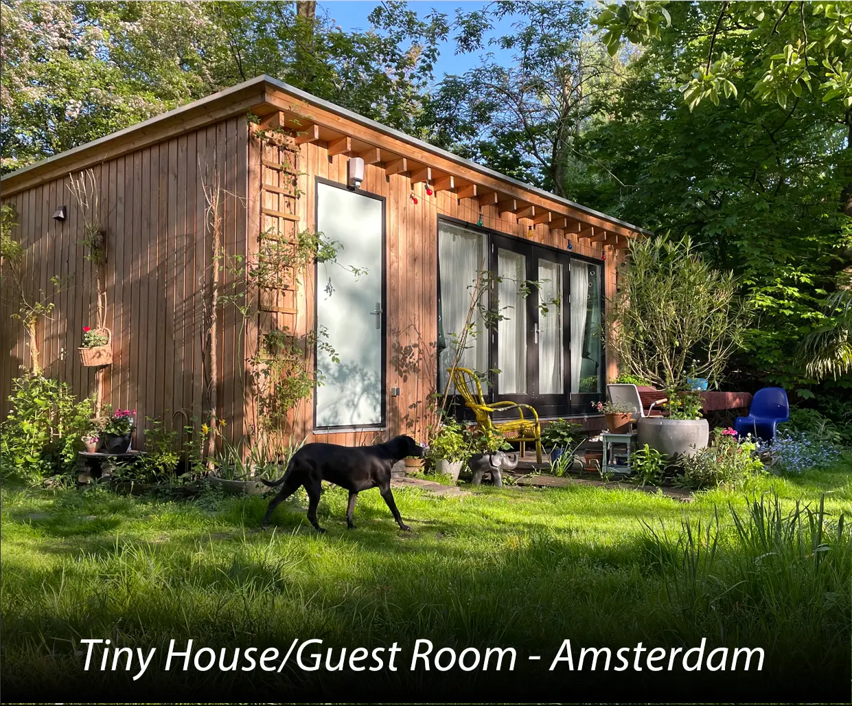 amsterdam custom guest garden house wood framing construction project